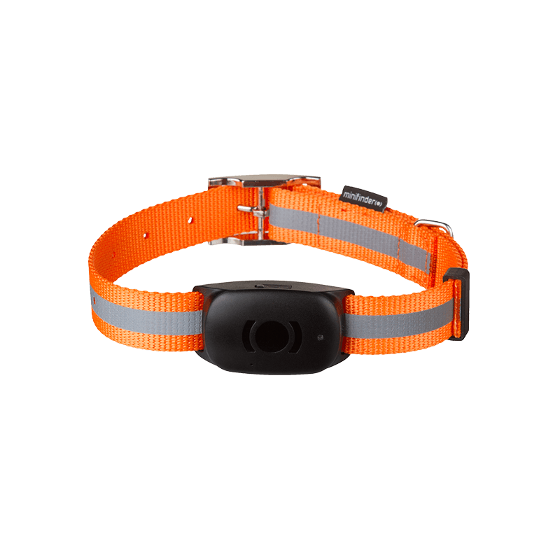 MiniFinder Atto | Keeping dogs, cats and horses safe with your monitoring