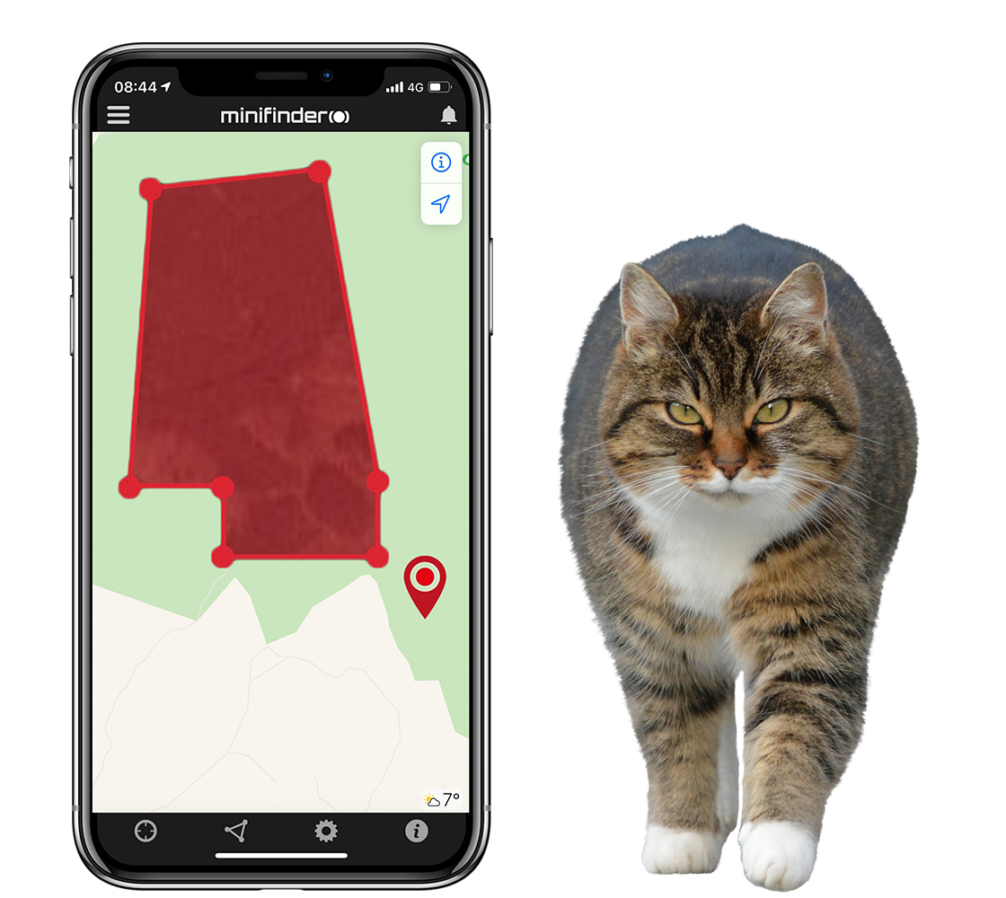Track your cat using GPS technique 