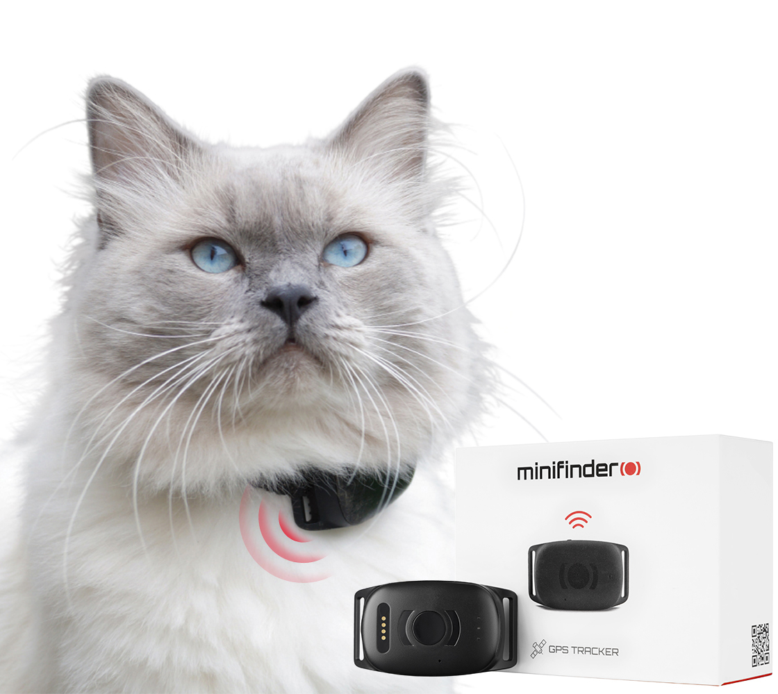 Track your cat with gps