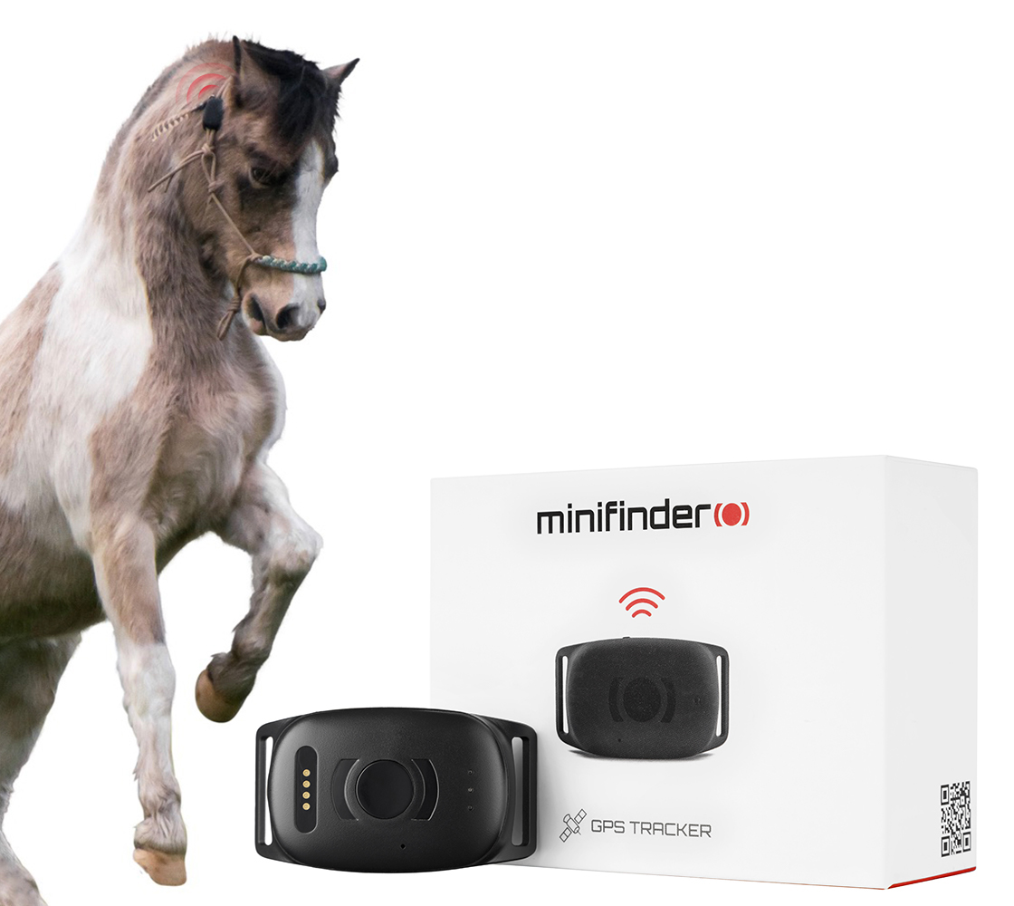 GPS for horse