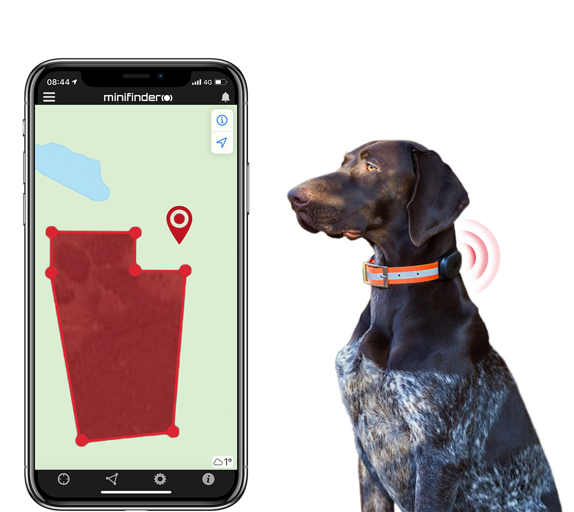 GPS for hunting dogs makes hunting safer