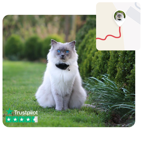 MiniFinder A smart way to look after your cat is with our cat tracker