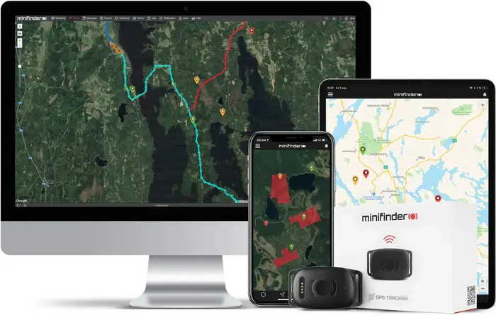 Track your hunting dog in real time