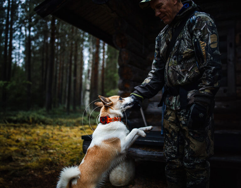 Hunter and dog working together in nature using MiniFinder Rex.