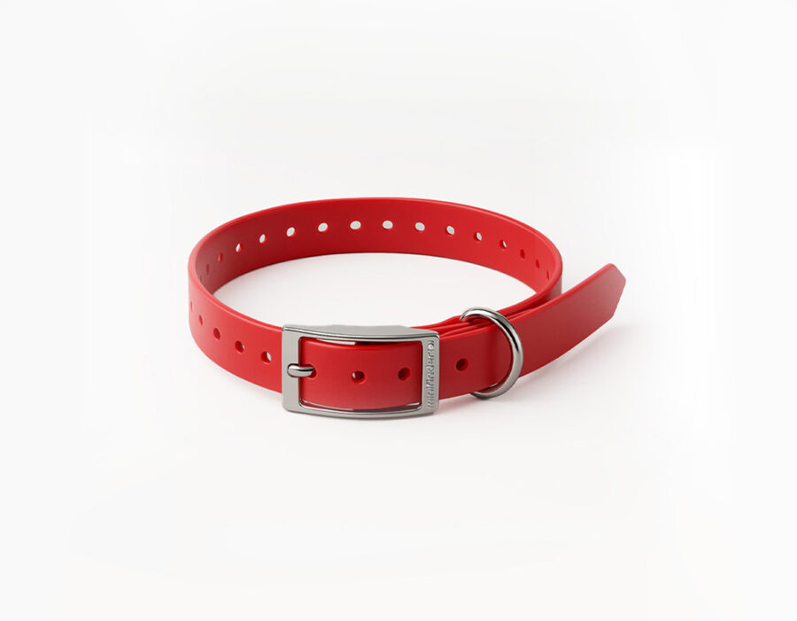 MiniFinder Dog Collar with adjustable strap and durable buckle, designed for secure attachment of MiniFinder dog tracker.