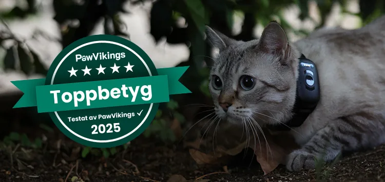 A cat wearing the MiniFinder Atto Pro while being announced as the best pet tracker 2025