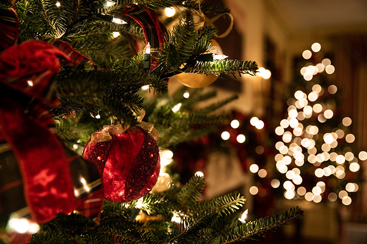 Merry Christmas and Happy New Year greeting from MiniFinder