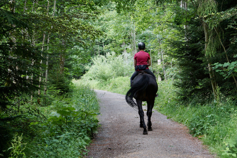 Rider on horseback during an outdoor ride, focusing on safety and security in nature.