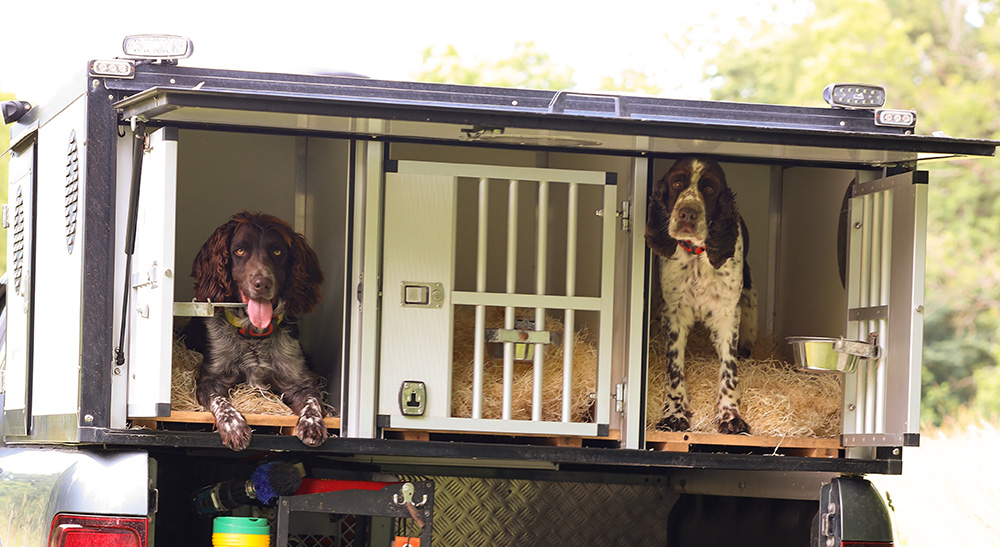 MiniFinder Zenso GPS-Tracker mit Temperaturalarm in der Hundebox für mehr Sicherheit beim Transport