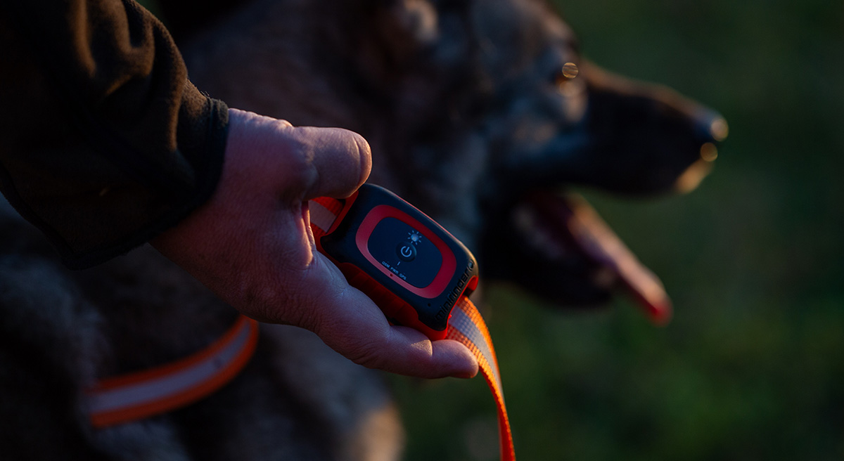 GPS-Tracker Jagdhunde