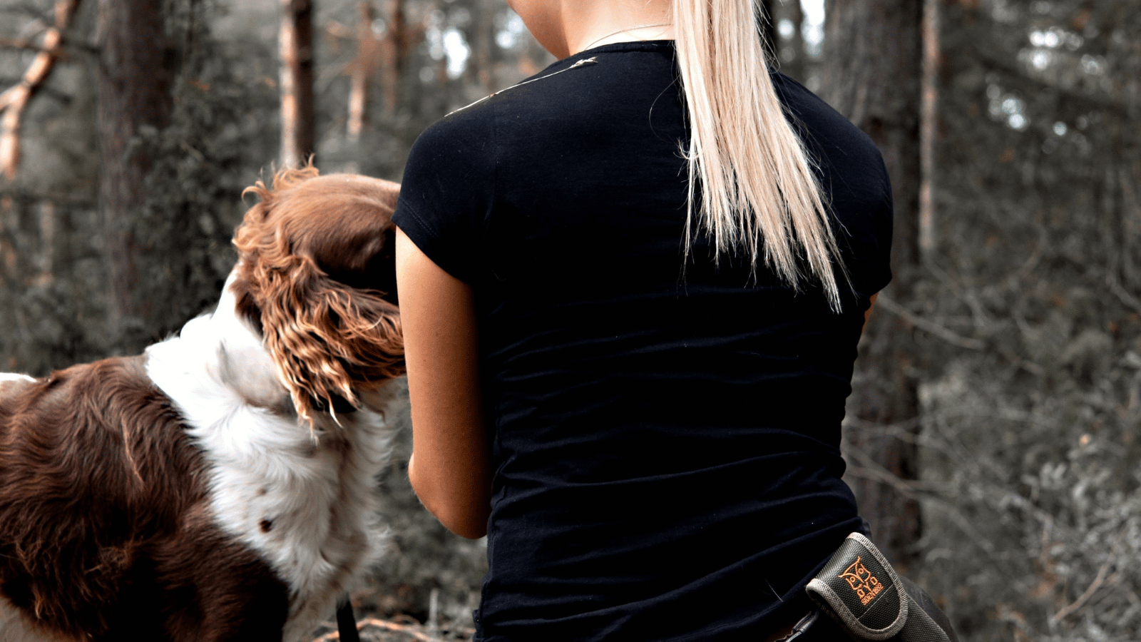 Dog owner kneeling down and calling her dog, which happily returns for comfort and reassurance after being reunited.