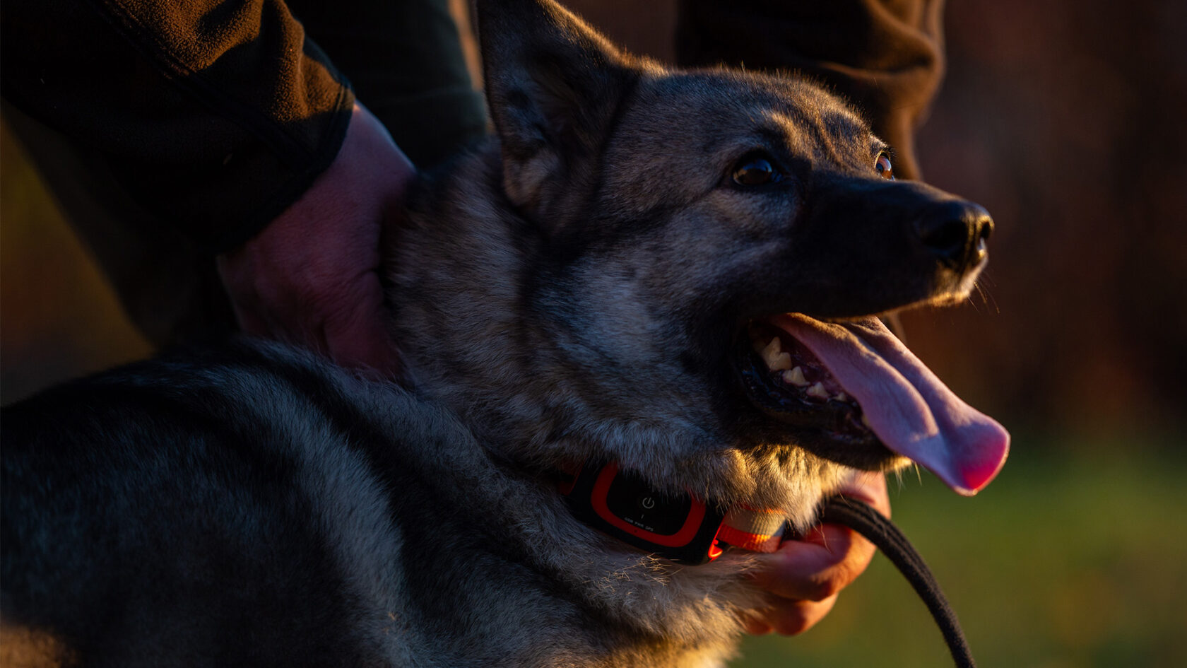Moderne Jagdhundeortung mit GPS, LTE-M und Echtzeit-Tracking. Mehr Kontrolle, Präzision und Sicherheit für Ihren Jagdhund.