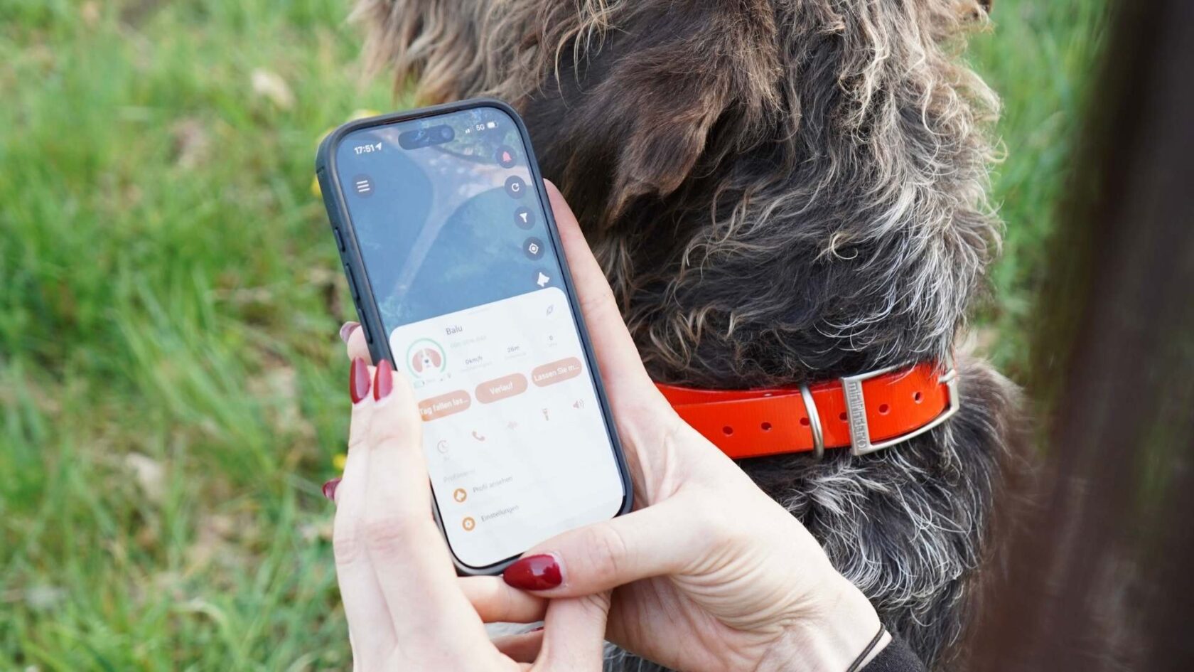 Hunter using the MiniFinder Hunter app to track a hunting dog in real time during a driven hunt.