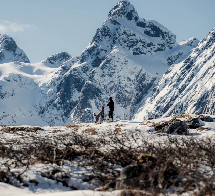 Dog and owner hiking in snowy mountains at Lofoten