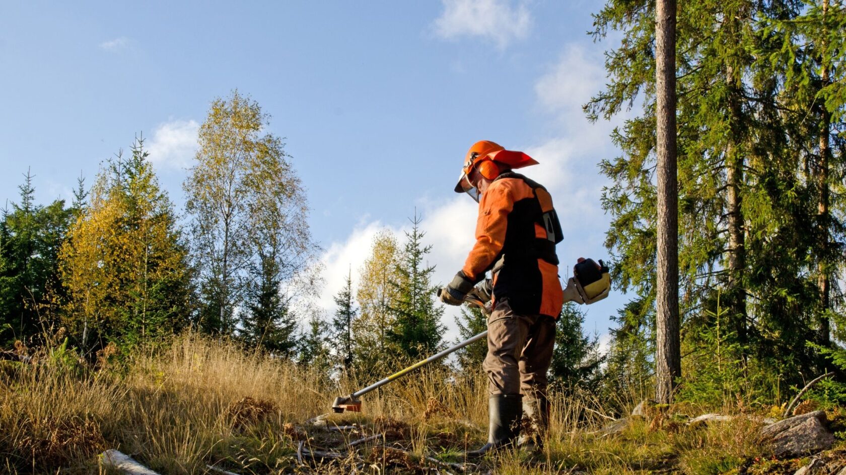 Forestry worker working alone in a remote forest, highlighting the risks of lone working outdoors